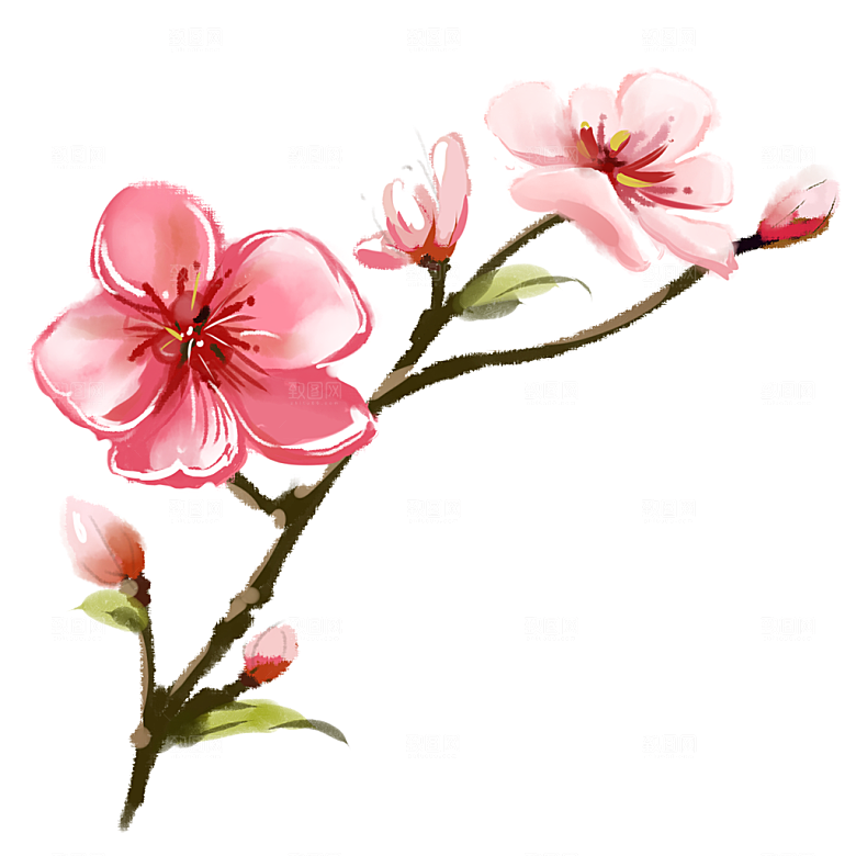 手绘免抠桃花元素