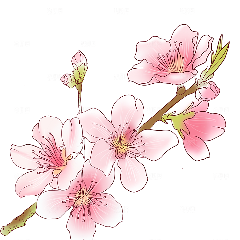 手绘免抠桃花元素