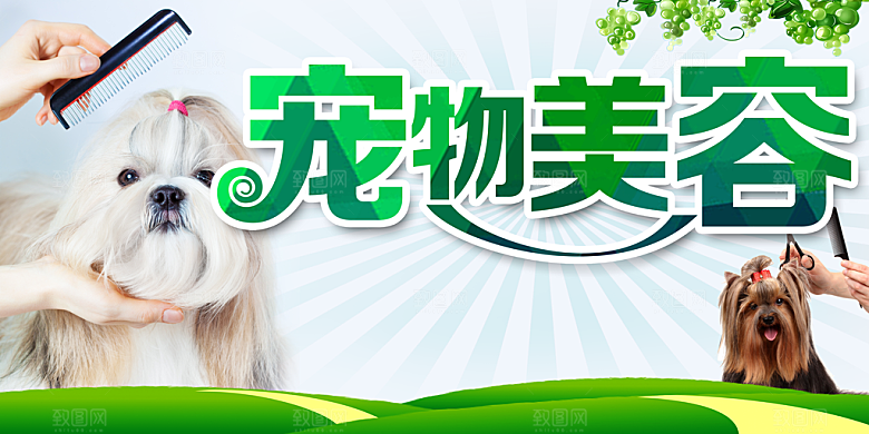 宠物美容宣传海报
