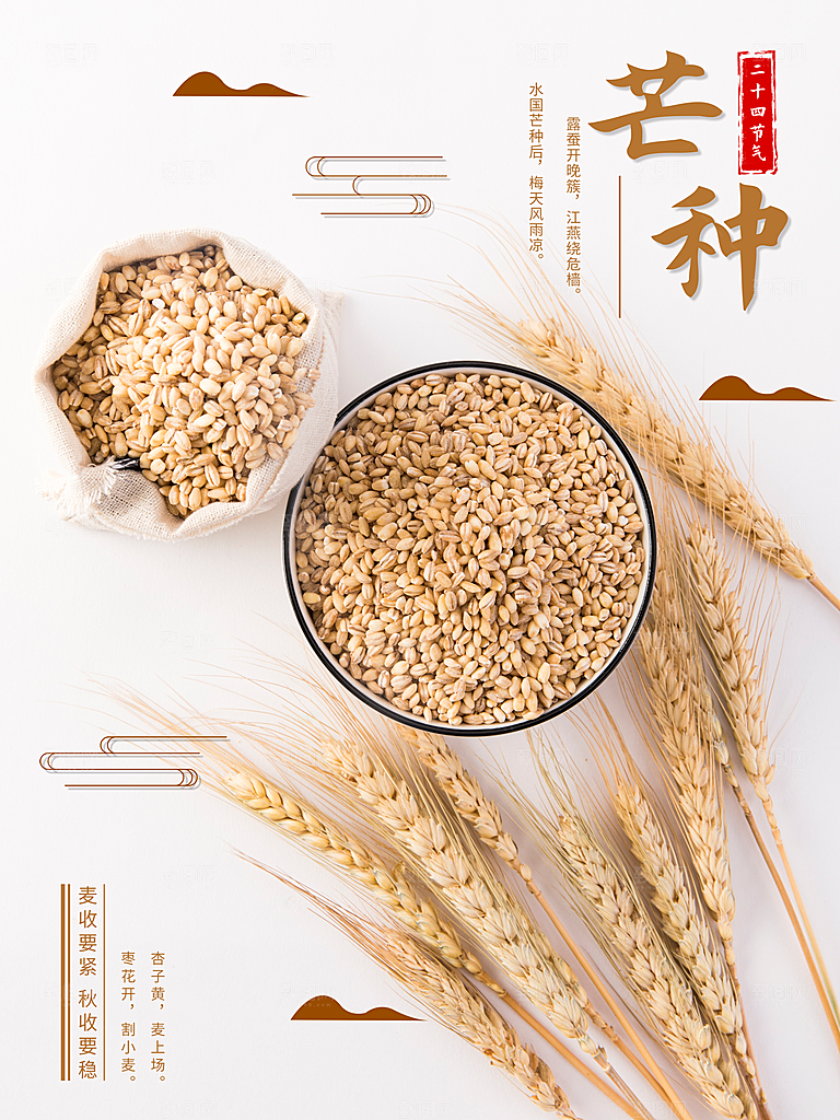 传统二十四节气芒种