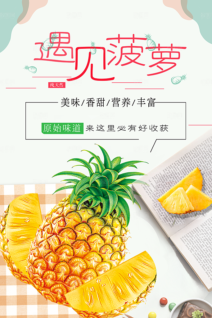 遇见菠萝宣传海报