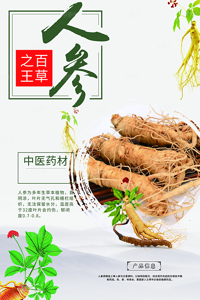 中医药材人参海报