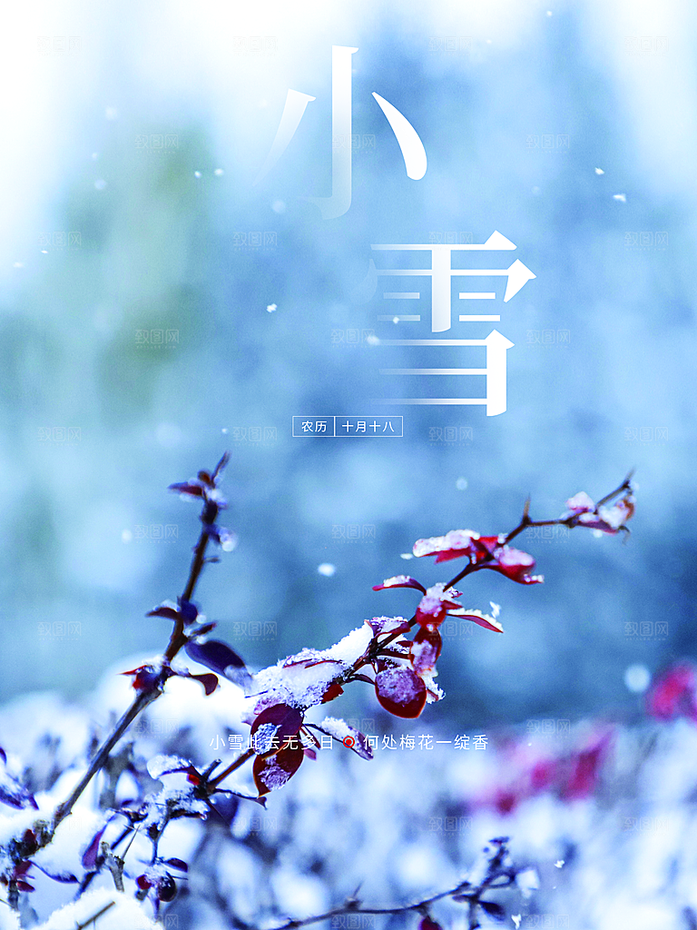 传统二十四节气小雪