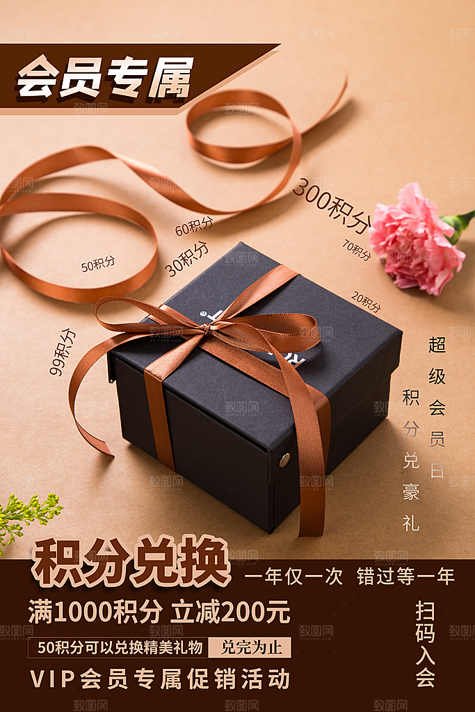 会员会员日充值积分促销活动海报