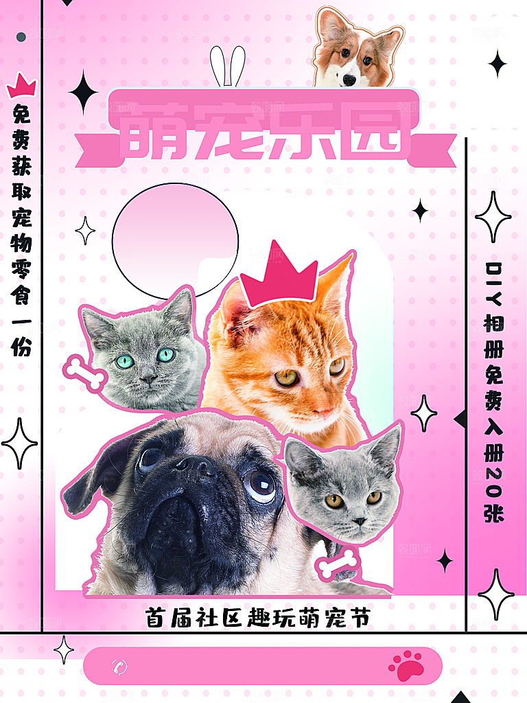 宠物店开业活动促销