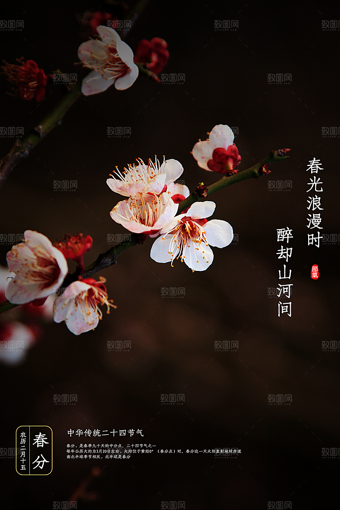 传统二十四节气春分