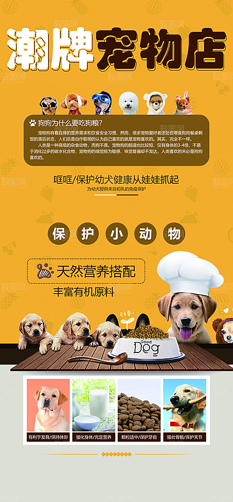 潮牌宠物店宣传海报