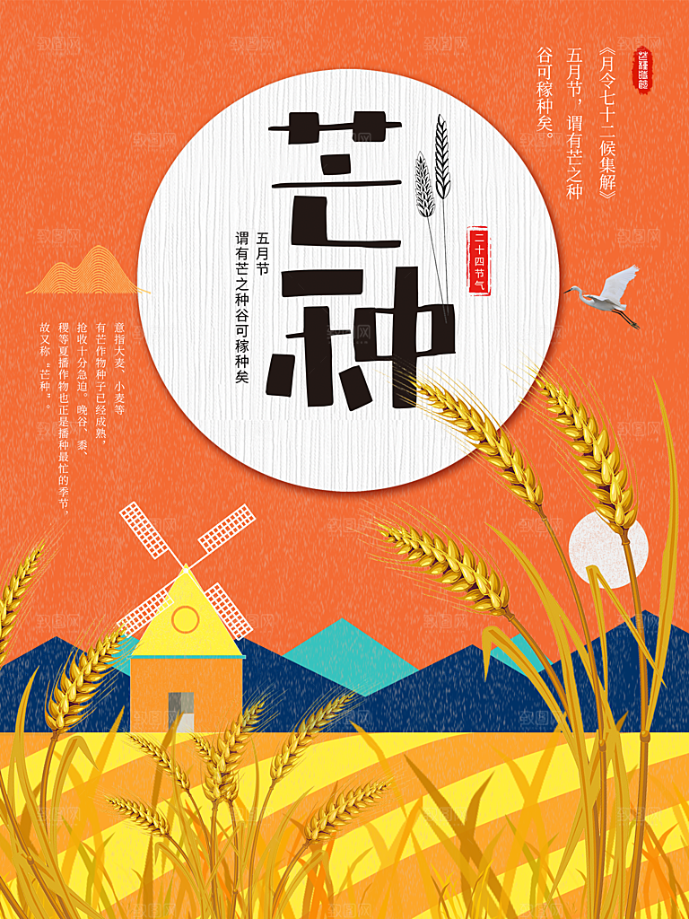 传统二十四节气芒种
