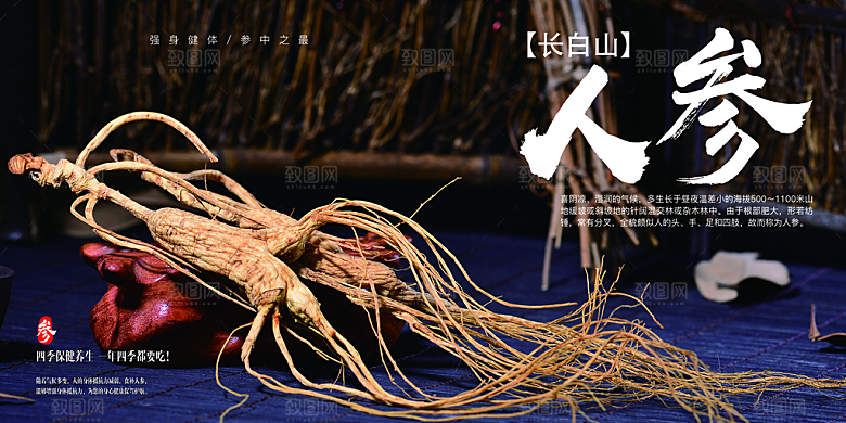 长白山人参宣传海报
