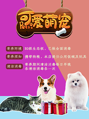 宠物店活动宣传海报