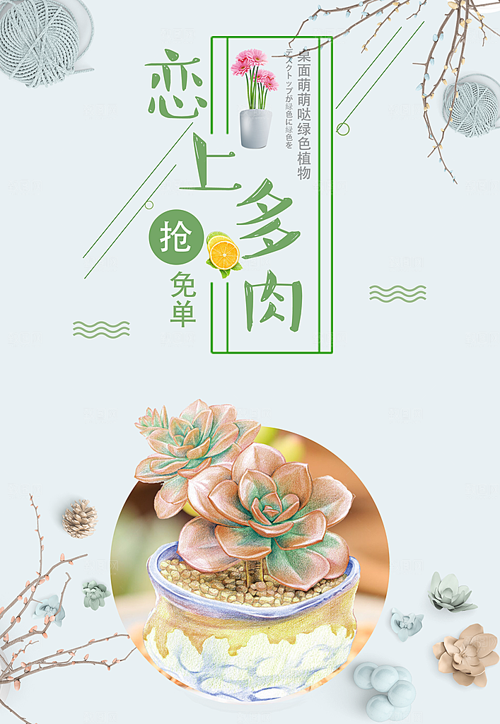 绿色植物多肉海报