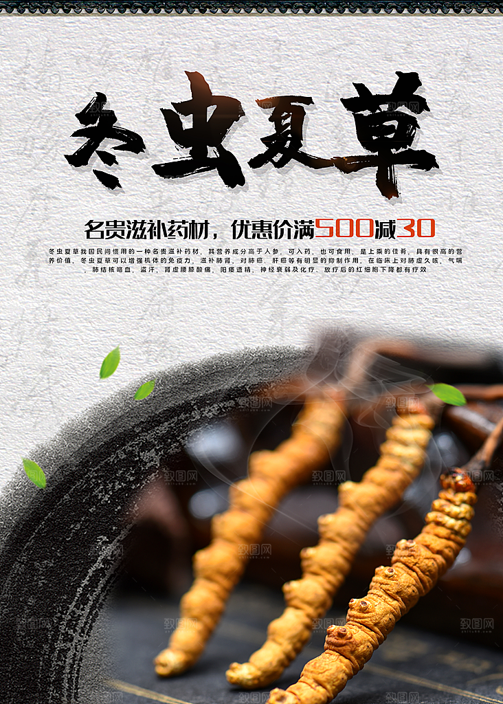 冬虫夏草宣传海报