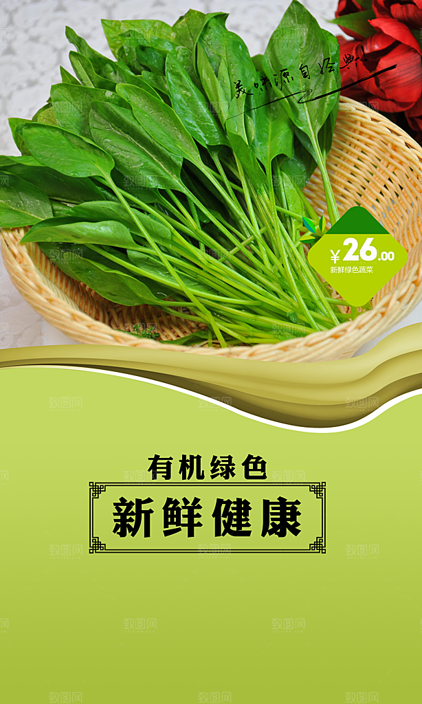 有机绿色新鲜蔬菜