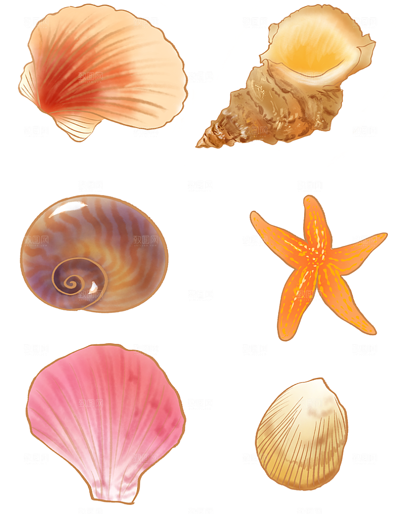 彩色卡通贝壳插画元素