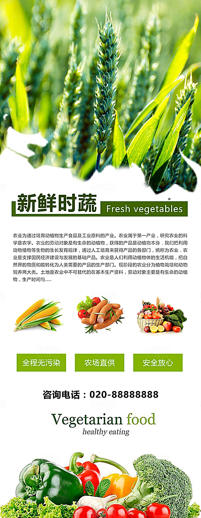 新鲜时蔬宣传展架