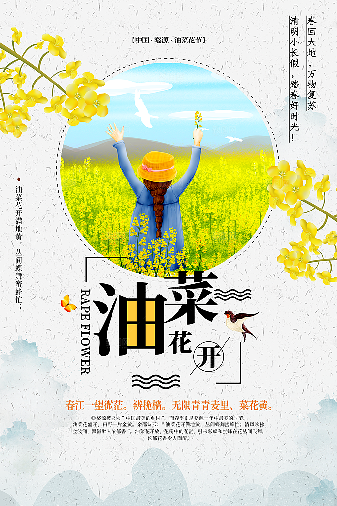 油菜花开春季旅行