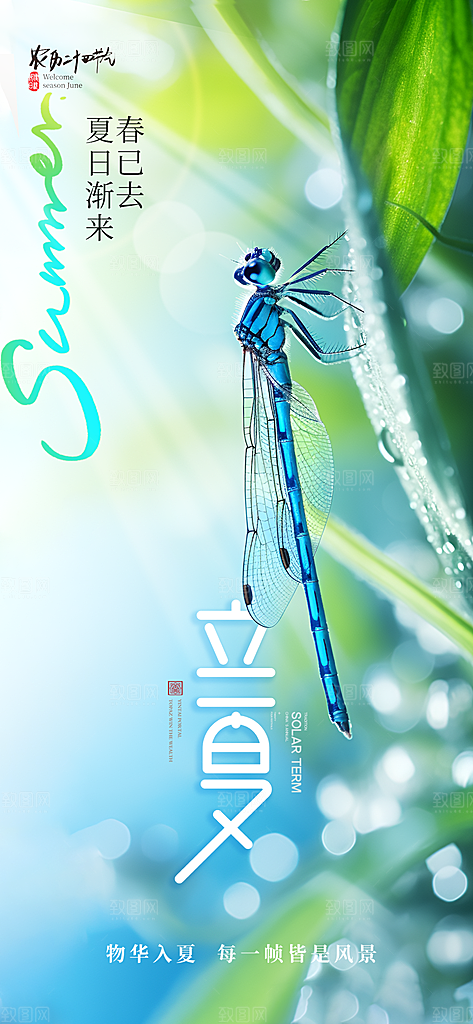 中国传统24节气立夏手机海报