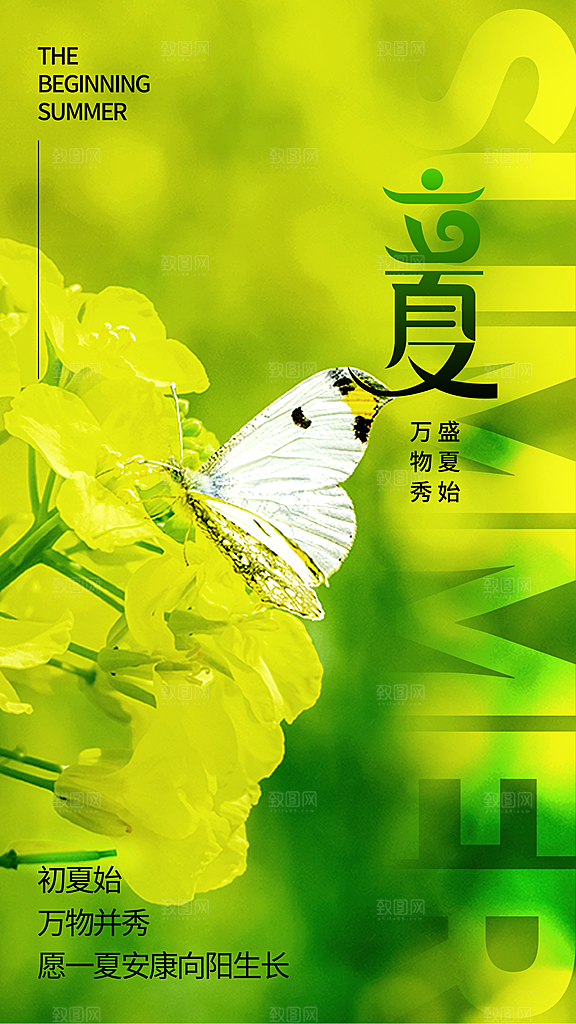 中国传统24节气立夏手机海报