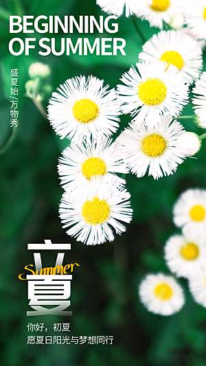 中国传统二十四节气立夏海报