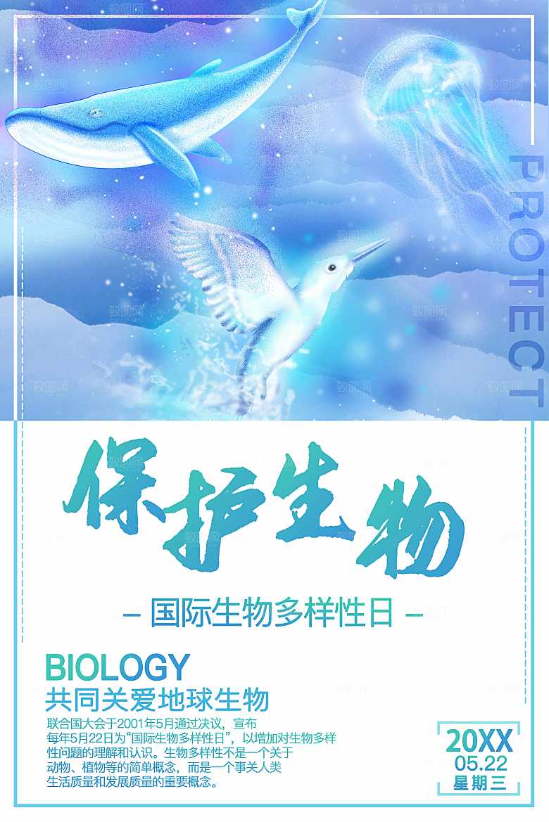 国际生物多样日保护生物