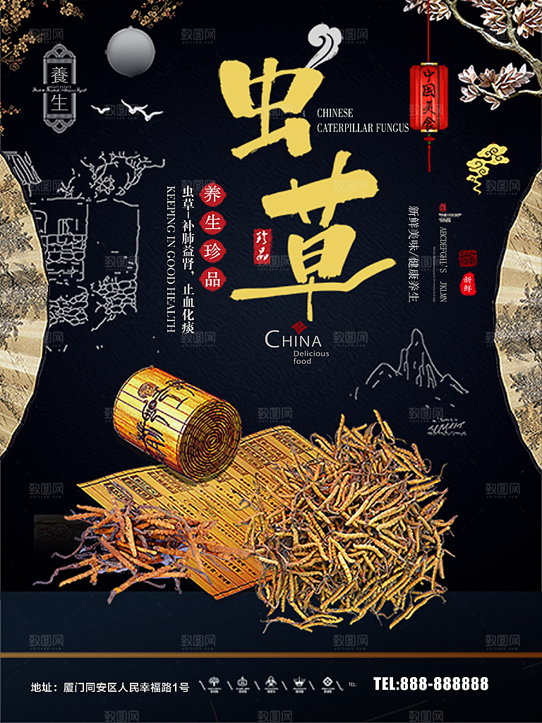 养生珍品冬虫夏草