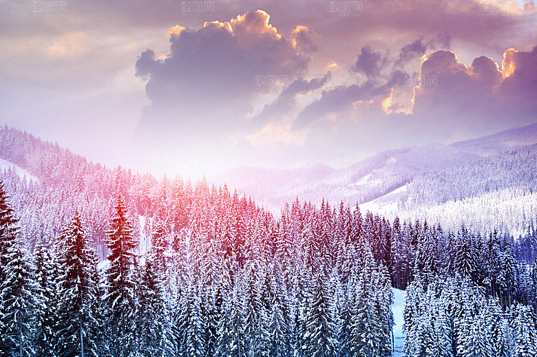 高清冬季冬天雪景自然风景JPG图片素材