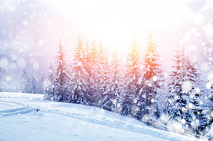 高清冬季冬天雪景自然风景JPG图片素材