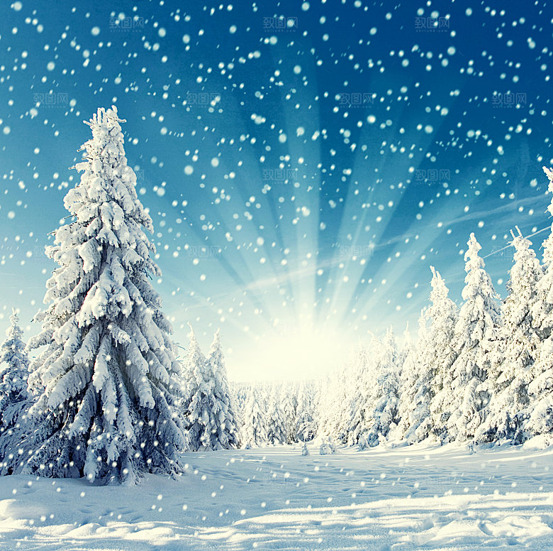 高清冬季冬天雪景自然风景JPG图片素材