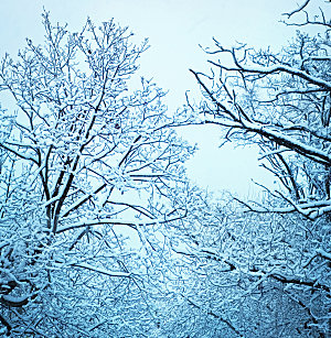 高清冬季冬天雪景自然风景JPG图片