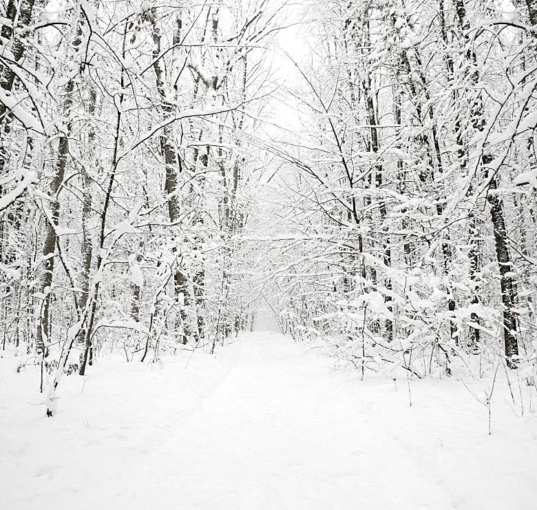 高清冬季冬天雪景自然风景JPG图片