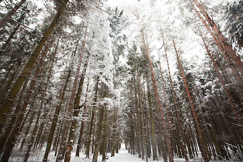 高清冬季冬天雪景自然风景JPG图片