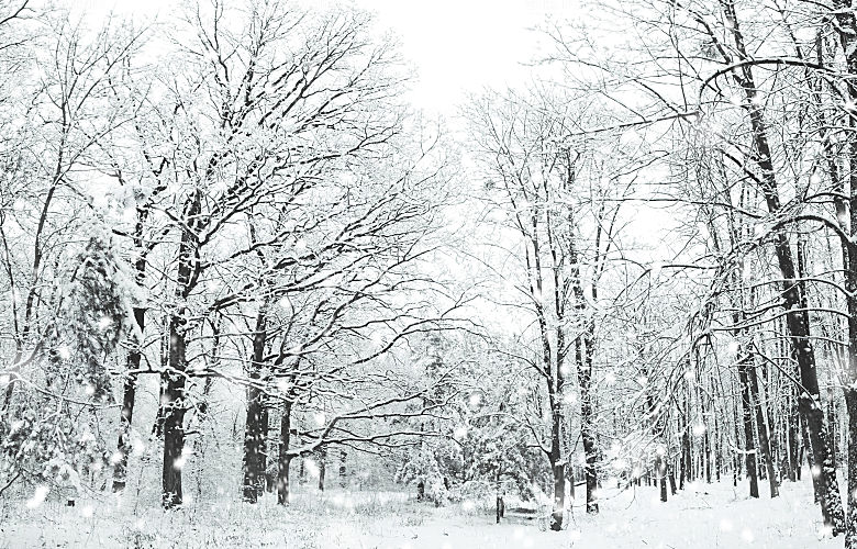高清冬季冬天雪景自然风景JPG图片
