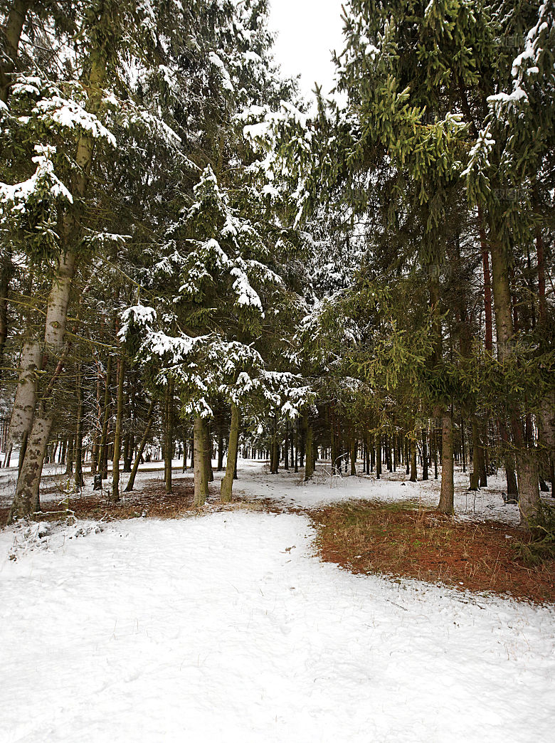 高清冬季冬天雪景自然风景JPG图片