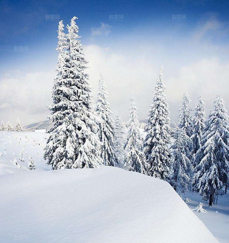 高清冬季冬天雪景自然风景JPG图片