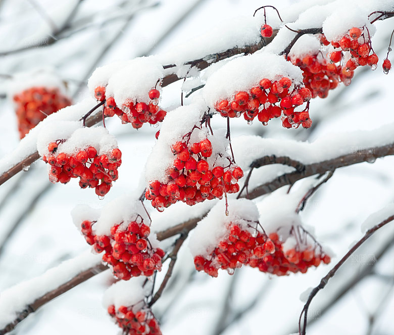 高清冬季冬天雪景自然风景JPG图片素材