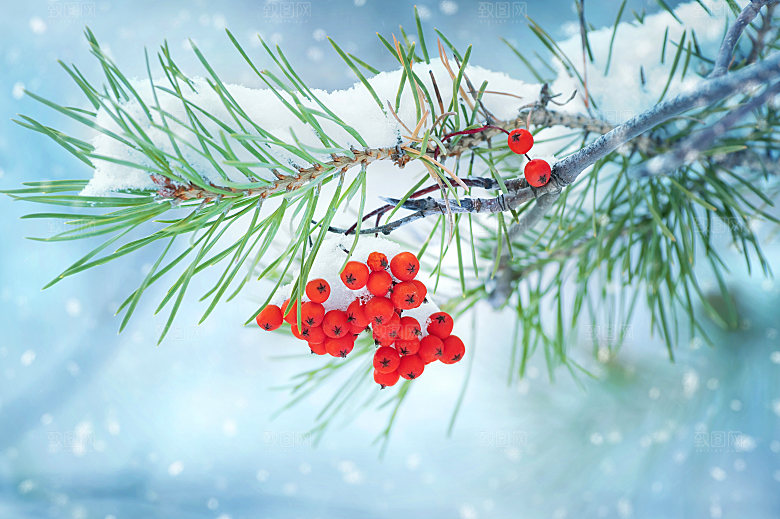 高清冬季冬天雪景自然风景JPG图片素材