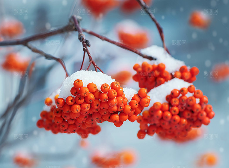 高清冬季冬天雪景自然风景JPG图片素材