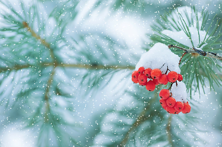 高清冬季冬天雪景自然风景JPG图片素材