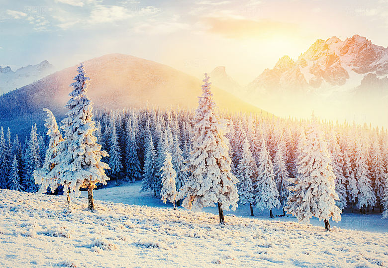 高清冬季冬天雪景自然风景JPG图片