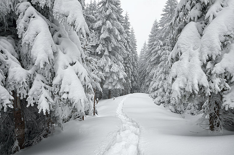 高清冬季冬天雪景自然风景JPG图片