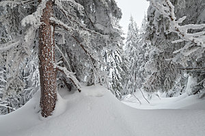 高清冬季冬天雪景自然风景JPG图片