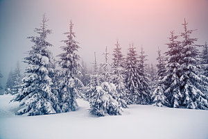 高清冬季冬天雪景自然风景JPG图片