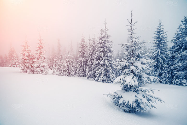 高清冬季冬天雪景自然风景JPG图片