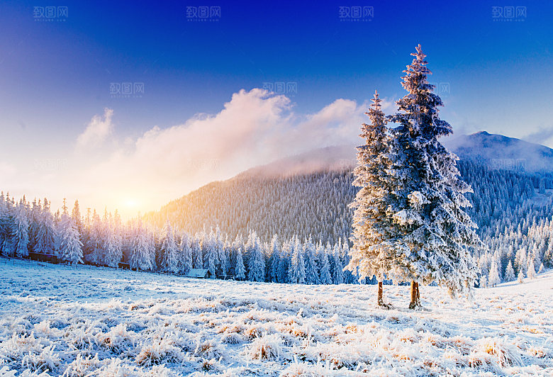 高清冬季冬天雪景自然风景JPG