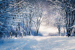 高清冬季冬天雪景自然风景JPG