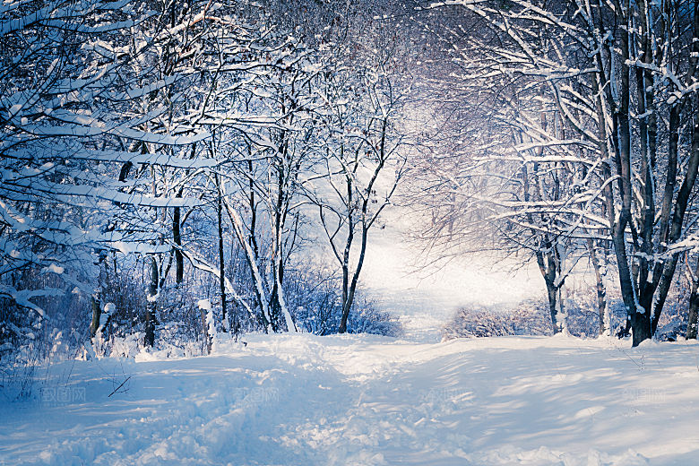 高清冬季冬天雪景自然风景JPG
