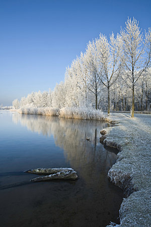 高清冬季冬天雪景自然风景JPG图片