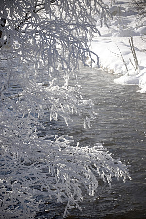 高清冬季冬天雪景自然风景JPG图片