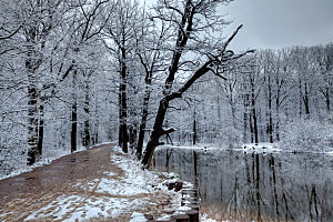高清冬季冬天雪景自然风景JPG图片