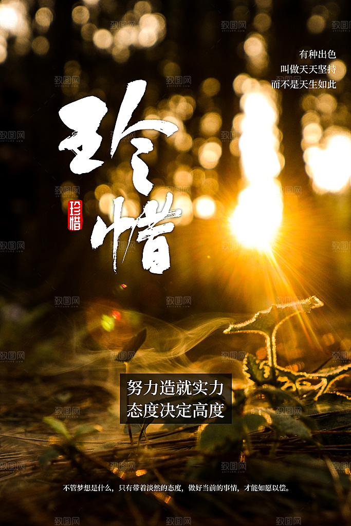 简约大气梦想励志拼搏海报
